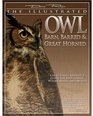 The Illustrated Owl: Barn, Barred, & Great Horned: The Ultimate Reference Guide for Bird Lovers, Artists, and Woodcarvers (The Denny Rogers Visual Reference series)