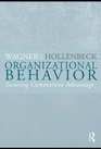 Organizational Behavior Securing Competitive Advantage