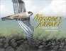 The Peregrine'S Journey