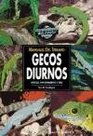 Gecos diurnos / Day geckos
