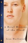 A Brief History of the Flood