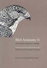 Bird Anatomy II Surface Anatomy of Birds