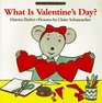 What Is Valentine's Day? (A Lift-the-Flap Story)