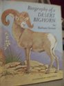 Biography of a desert bighorn
