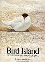Bird Island