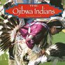 The Ojibwa Indians