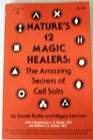 Nature's 12 Magic Healers: The Amazing Secrets of Cell Salts
