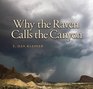 Why the Raven Calls the Canyon Off the Grid in Big Bend Country