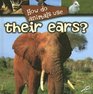 How Do Animals Use Their Ears