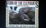 Echo of the Elephants The Story of an Elephant Family