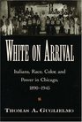 White on Arrival Italians Race Color and Power in Chicago 18901945