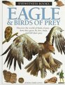 Eagle  Birds of Prey