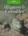 Alligators  Crocodiles