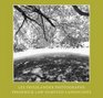 Lee Friedlander Photographs Frederick Law Olmsted Landscapes