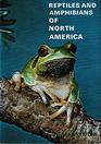 Reptiles and Amphibians of North America