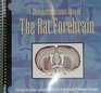 Chemoarchitectonic Atlas of the Rat Forebrain