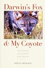 Darwin's Fox  My Coyote