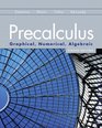 Precalculus Graphical Numerical Algebraic