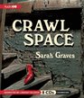 Crawlspace A Home Repair is Homicide Mystery