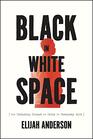 Black in White Space The Enduring Impact of Color in Everyday Life