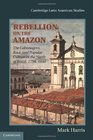 Rebellion on the Amazon The Cabanagem Race and Popular Culture in the North of Brazil 17981840