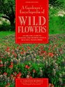 A Gardener's Encyclopedia of Wildflowers An Organic Guide to Choosing and Growing over 150 Beautiful Wildflowers