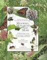 The Enlarged and Updated Second Edition of Milkweed Monarchs and More A Field Guide to the Invertebrate Community in the Milkweed Patch