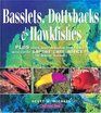 Basslets Dottybacks and Hawkfishes Plus Seven More Aqarium Fish Families with Expert Captive Care Advice for the Marine Aquarist