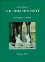 Color Atlas of the Horse's Foot