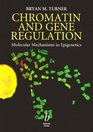 Chromatin and Gene Regulation Mechanisms in Epigenetics