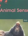 Animal Senses Big Book