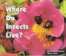 Where Do Insects Live