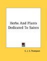 Herbs And Plants Dedicated To Saints