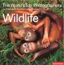 Wildlife The World's Top Photographers and the stories behind their greatest images