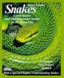 Snakes Giant Snakes and NonVenomous Snakes in the Terrarium  Everything About Purchase Care Nutrition and Diseases