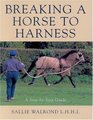 Breaking a Horse to Harness A StepbyStep Guide