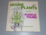 House plants for the purple thumb