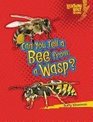 Can You Tell a Bee from a Wasp