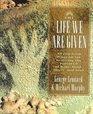 The Life We Are Given : A Long-Term Program for Realizing the Potential of Body, Mind, Heart, and Soul (Inner Workbook Series)