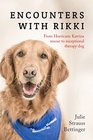 Encounters with Rikki From Hurricane Katrina Rescue to Exceptional Therapy Dog
