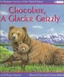 Chocolate a Glacier Grizzly
