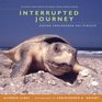 Interrupted Journey Saving Endangered Sea Turtles