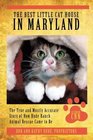 The Best Little Cat House In Maryland The True and Mostly Accurate Story of How Rude Ranch Animal Rescue Came to Be