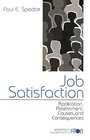 Job Satisfaction  Application Assessment Causes and Consequences