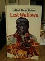 Lost Wallowa