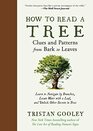 How to Read a Tree Clues and Patterns from Bark to Leaves