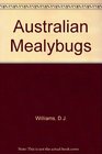 Australian mealybugs