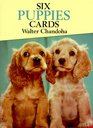 Six Puppies  Cards