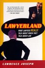 Lawyerland What Lawyers Really Talk About When They Talk About Law