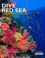 Dive Red Sea The Ultimate Guide